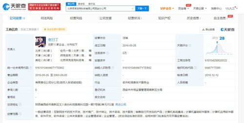 計算機系統(tǒng)集成服務的核心價值與實踐應用